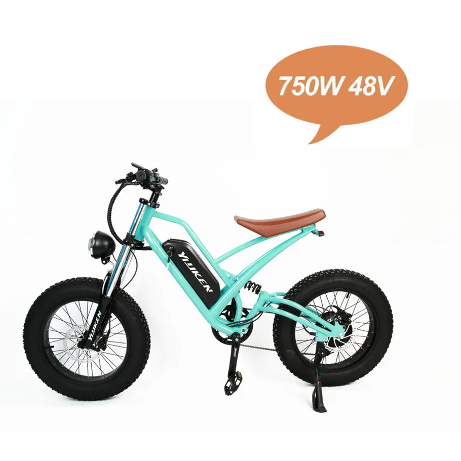 

750w 48V electric bike full suspension fat tire ebike 20 inch big tyre electric bicycle electric mountain bike