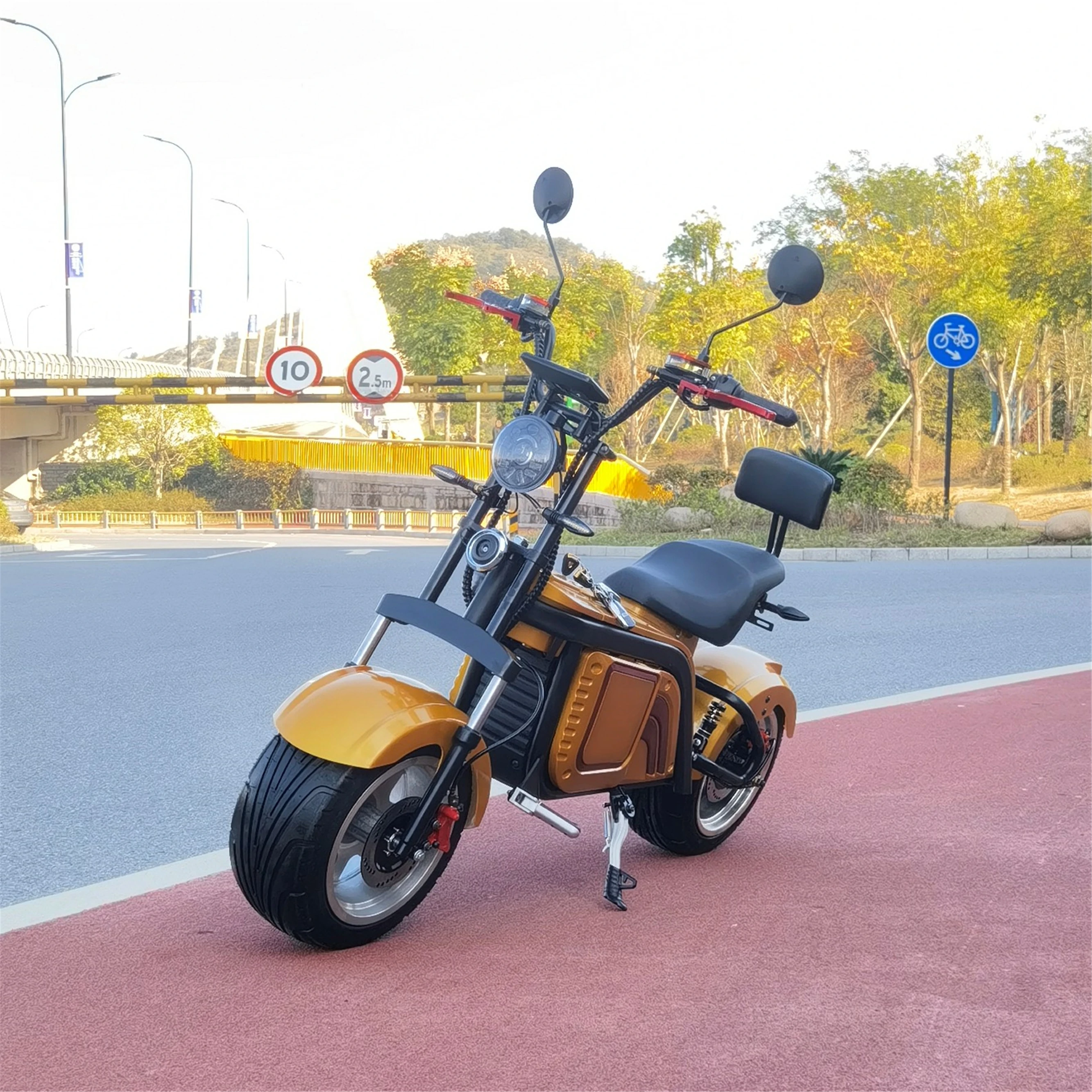 

Door To Door 2022 New Model M1 Electric Scooter Cool Design Citycoco Scooters Adult Road