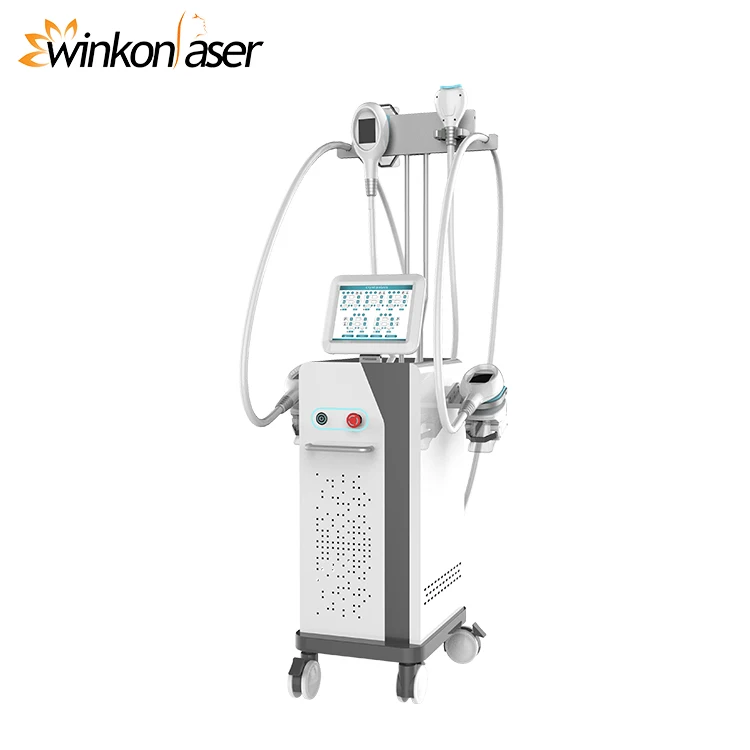 

Factory Price Cryolipolisis Machine 4 handle work together Criolipolysis Price