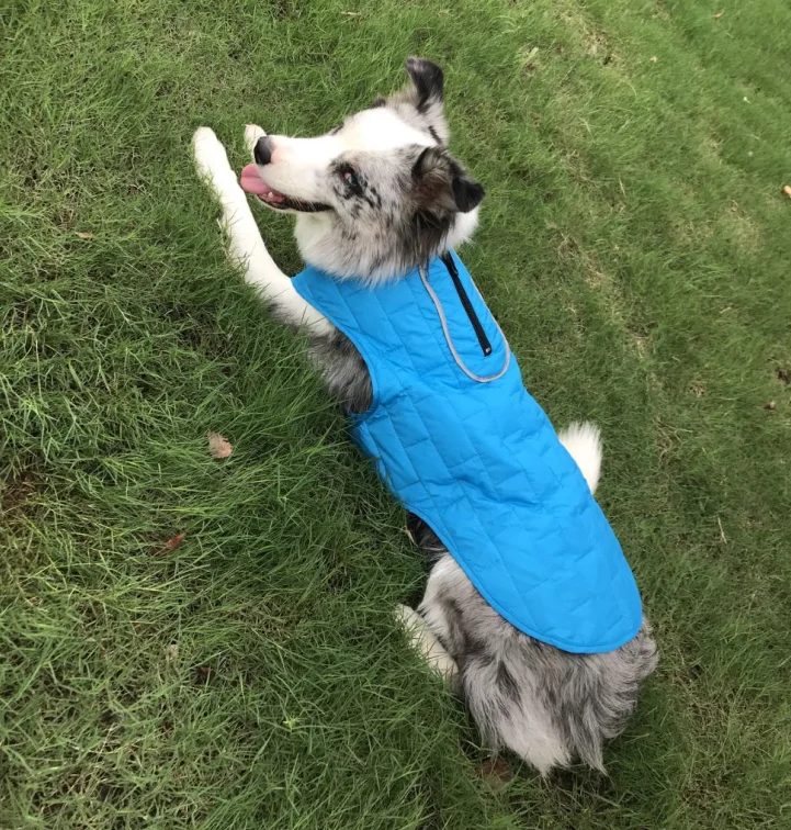 

Reversible reflective wholesale design pet dog clothes jacket waterproof