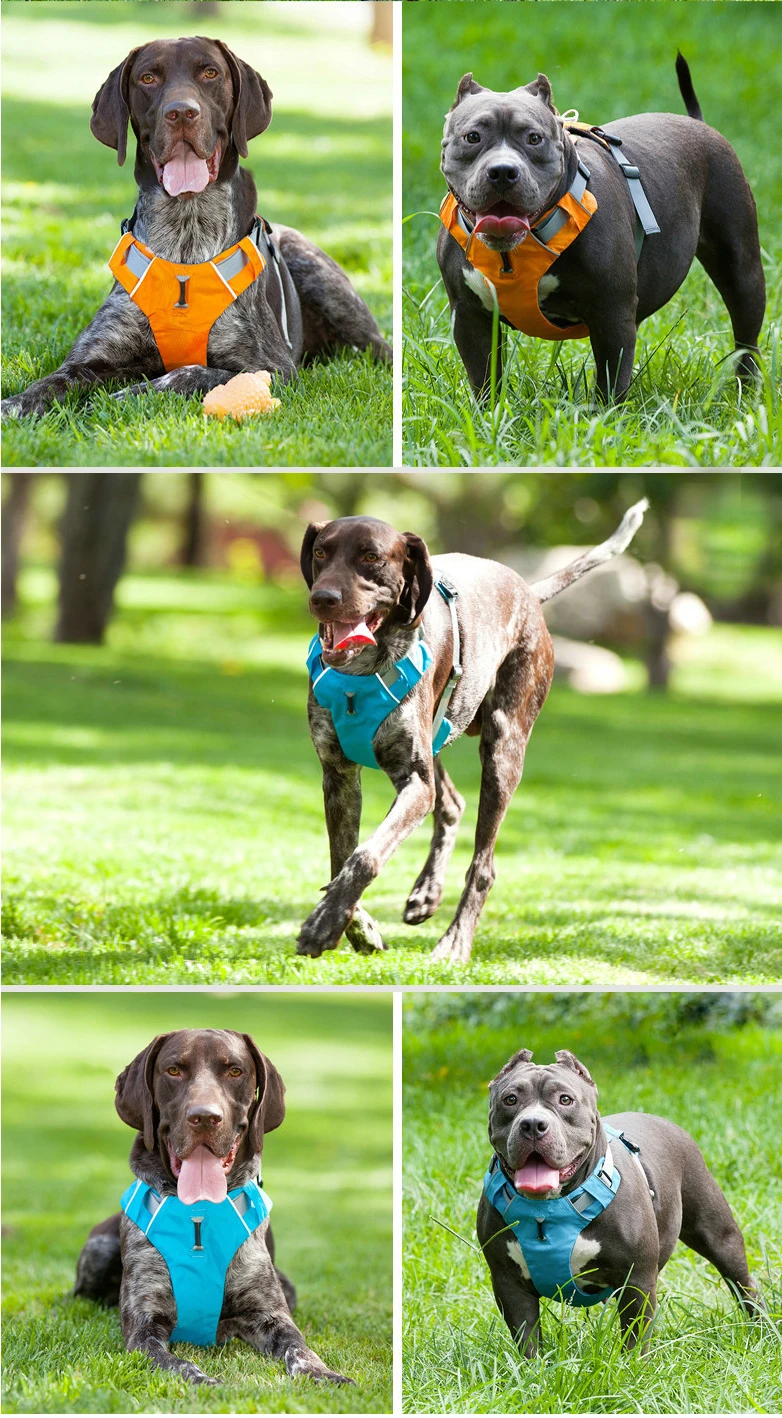 Hot Selling Luxury Dog Harness Personalized Small Medium Dog Harness