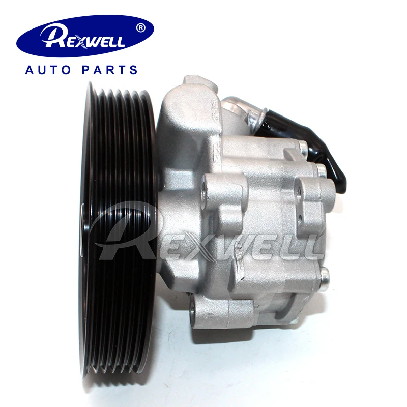 Hydraulic Auto Power Steering Pump For Renault Duster 491108694r Buy