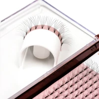 

Premade Fans 3D loose russian 5d volume lashes