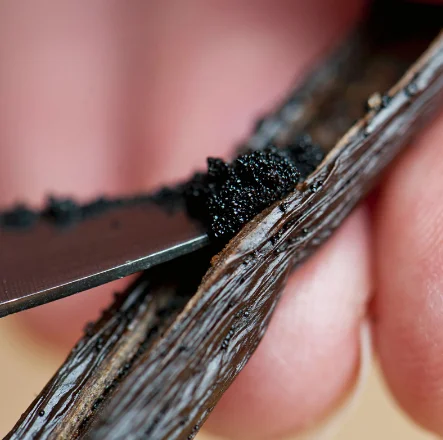 
All Natural 14-18cm A Grade Madagascar Vanilla Beans with KG Price 