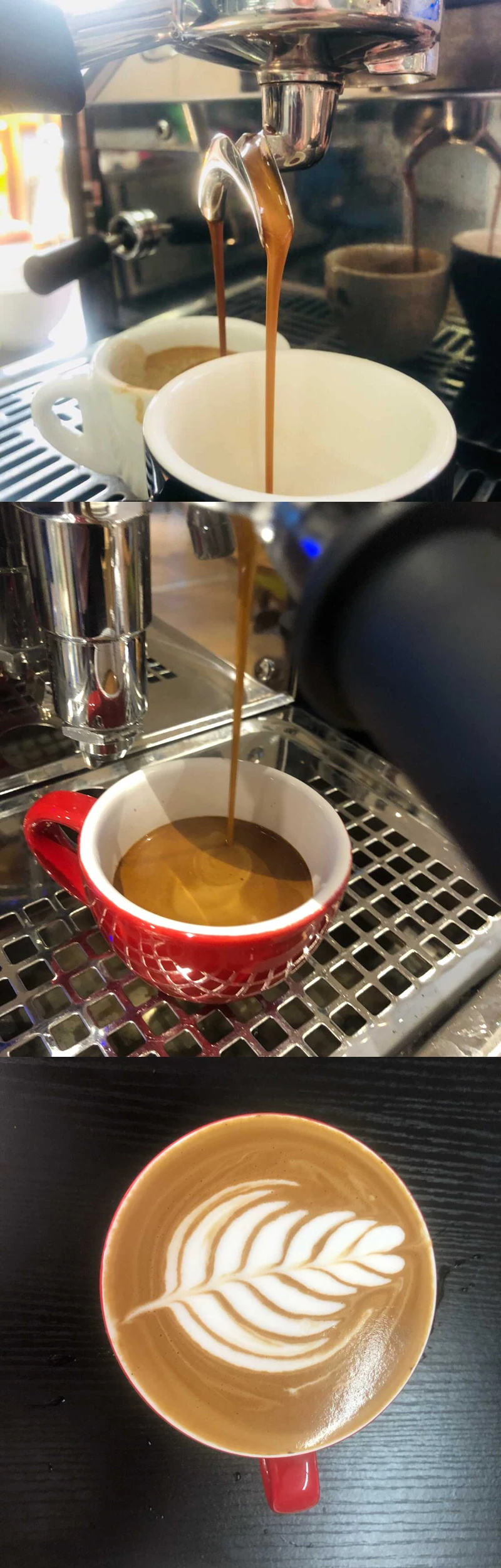 COFFEE-5.jpg