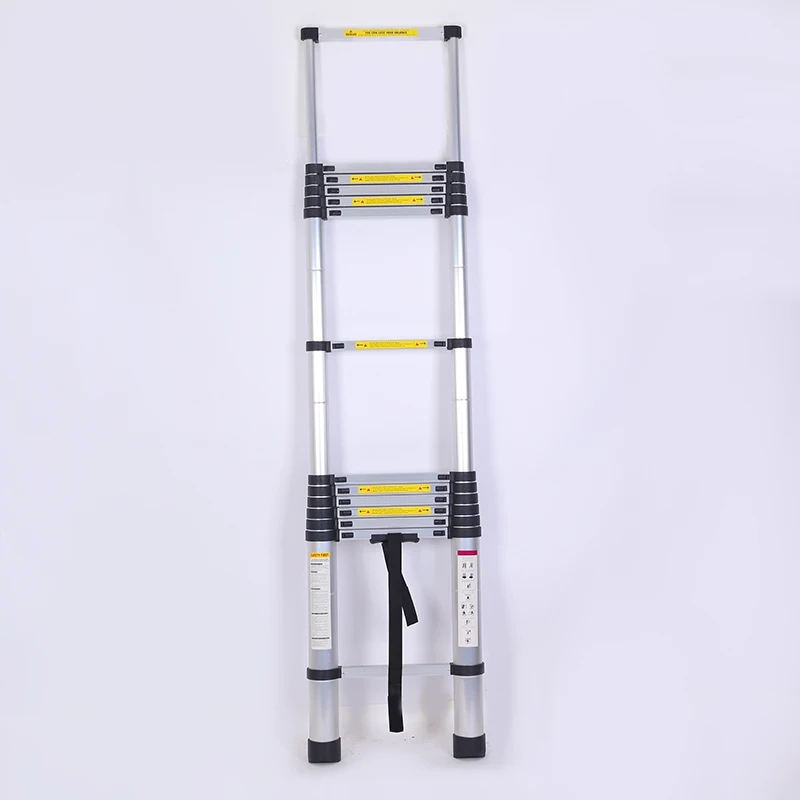 double telescopic ladder