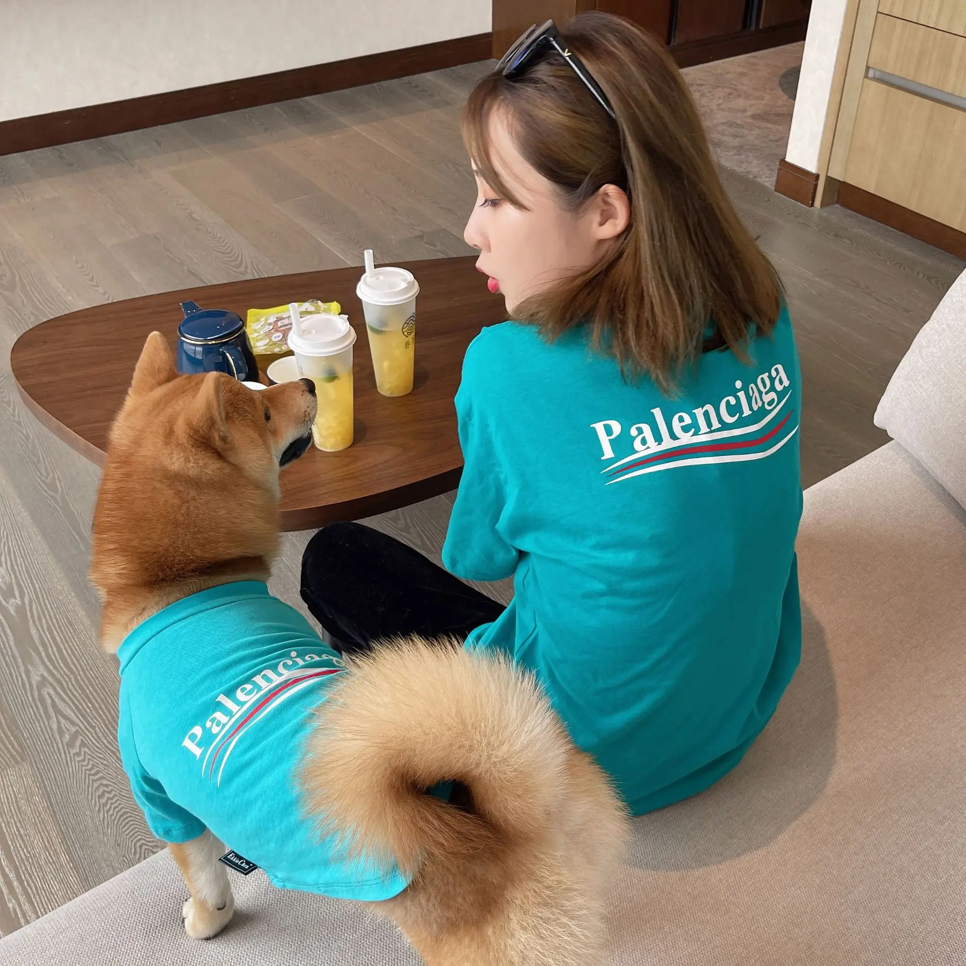 

Luxury summer breathable letter cotton dog owner T-shirt pet parent-child outfit Shiba Teddy, Blue, green, gray