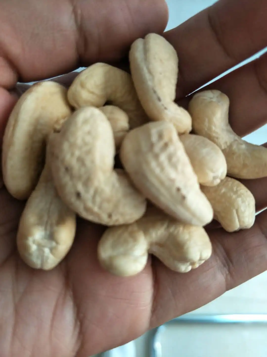 cashew nut market price