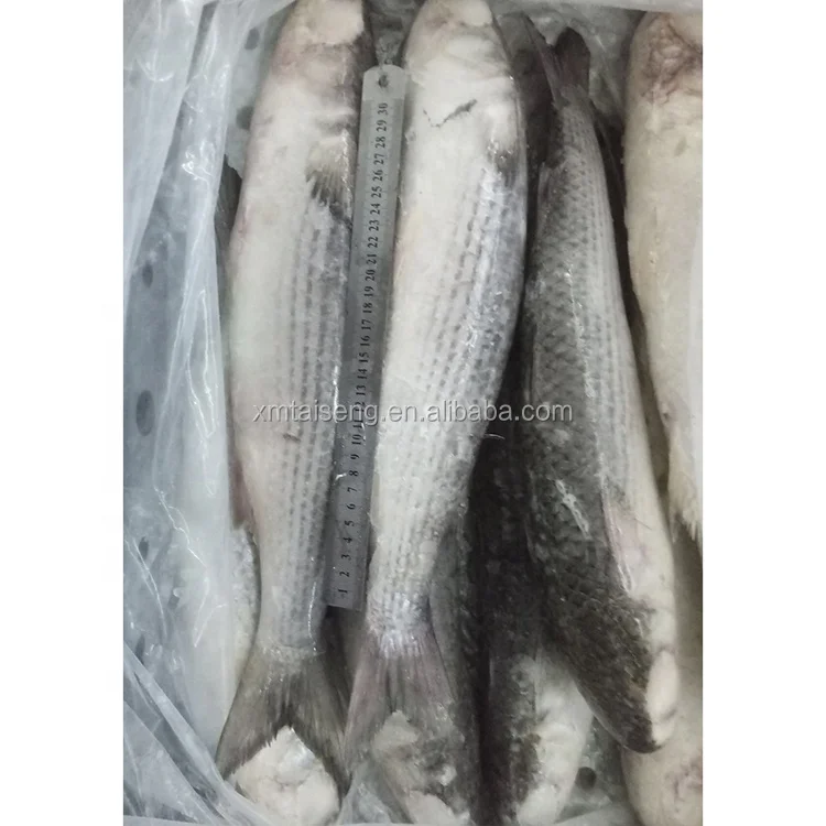 mullet (1)
