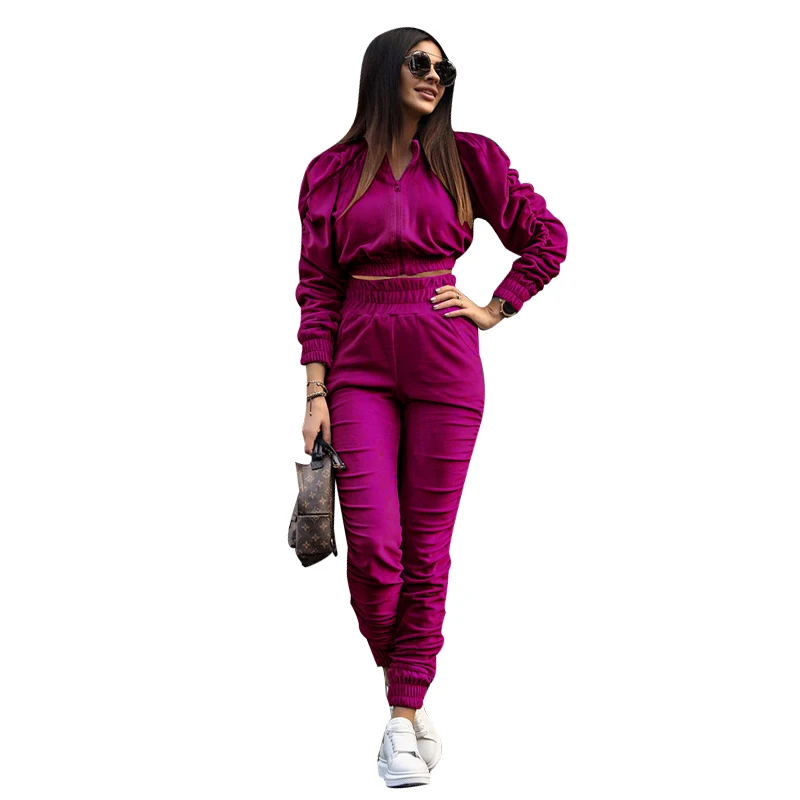 

Pleated suede thickened slim fashion long sleeve sweat suits two piece pants set winter clothes for women, Existing or as customer's require