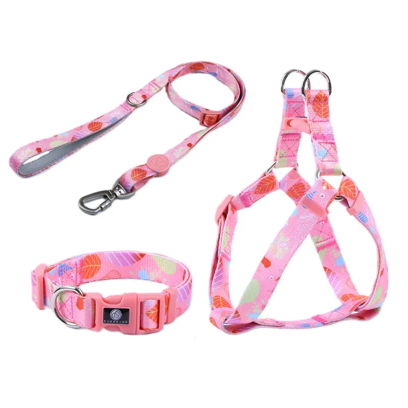 

leaches for small dogs with collar bright color design with 2mm thick polyester