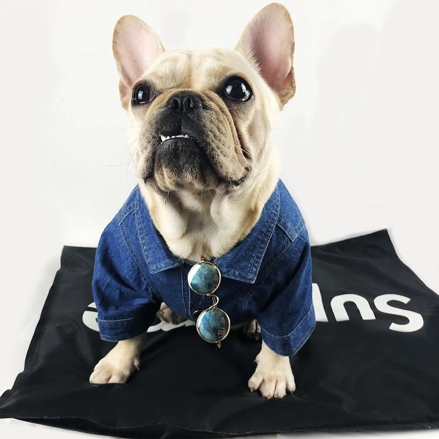 

Dog denim coat autumn and autumn and winter fashion pet clothes, Blue