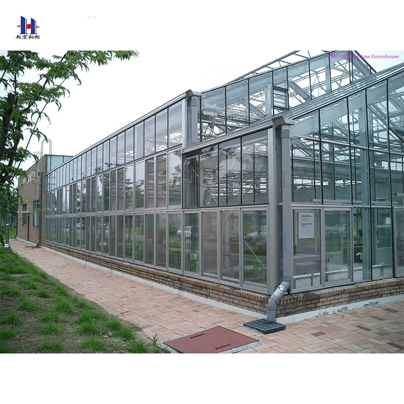 
Pests free steel structure warehouse with prefabricated office building made in china 