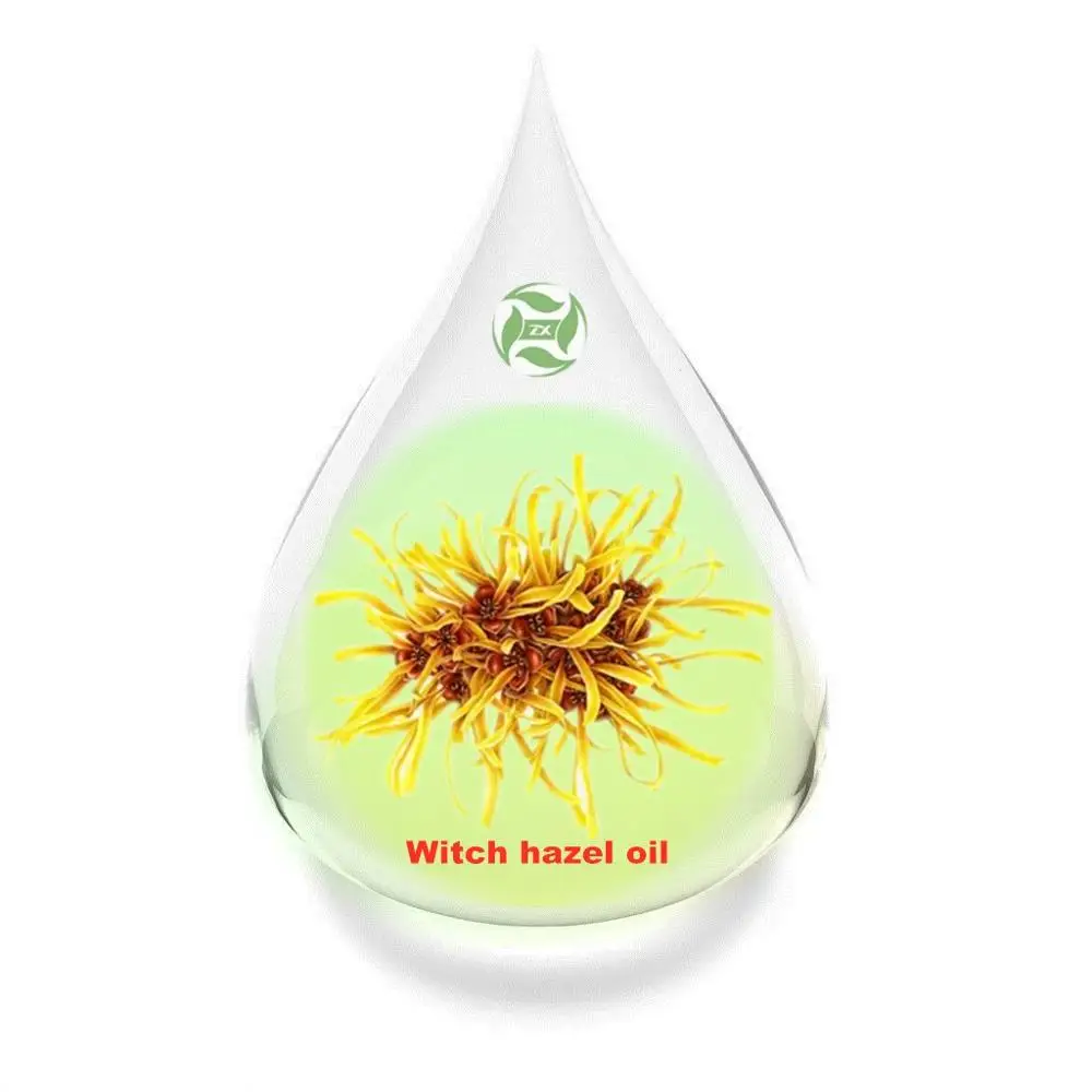 

Vegan Natural Witch Hazel Oil Hamamelis mollis Oliver Oil Low Price