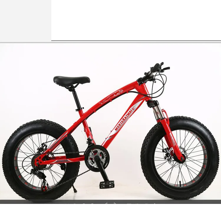 chinese fat bike