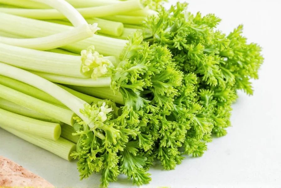 Celery Seed vs Celery: Proper Substitution Guide