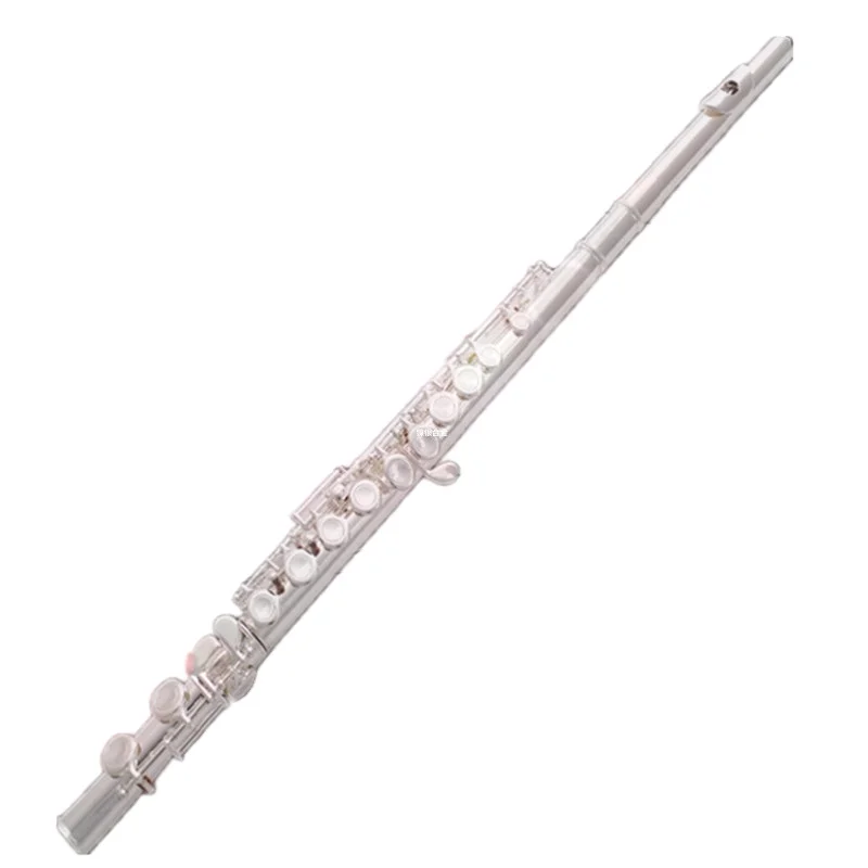 

Weifang Rebon C key Student cheap flute