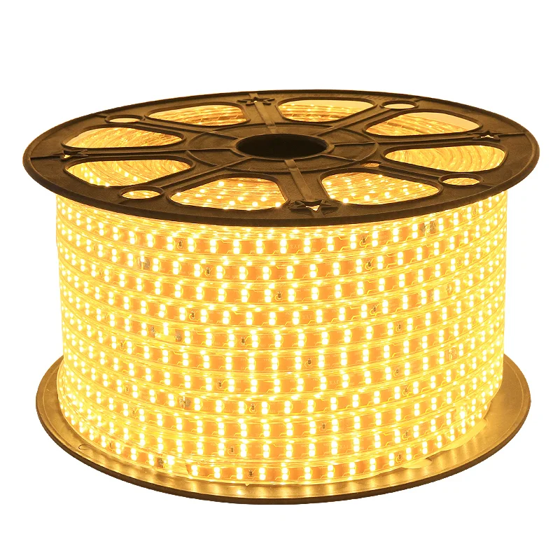 Factory Price SMD 5050 LED Strip Light 50M 100M Roll Neon Rope Lighting