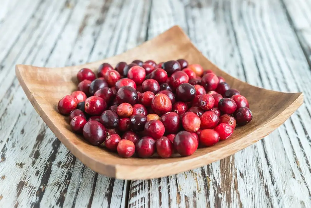 best quality cranberry extract 25% anthocyanin powder