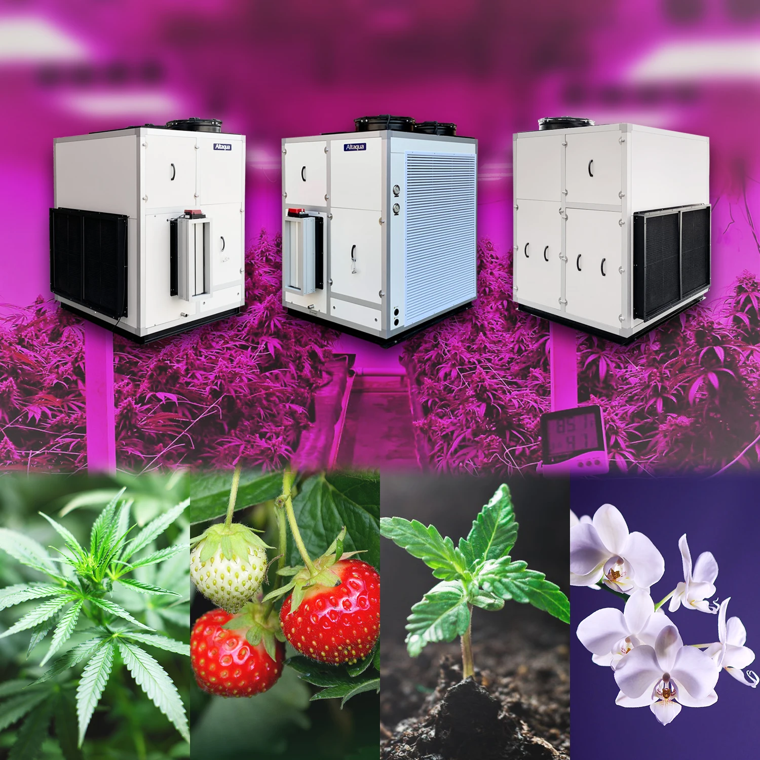 
No Moq indoor grow room greenhouse dehumidifier large grow house 