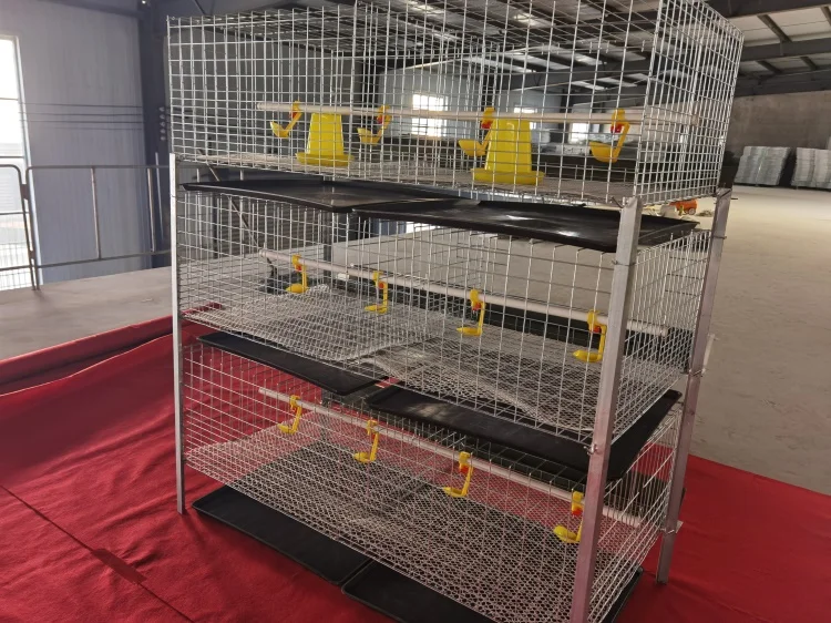 Quail Breeding Cage H Type Battery Layer Quail Cage For Sale Buy H