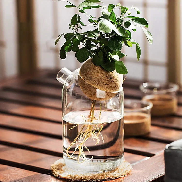 

Creative Table Indoor Hydroponic Plant Round Nordic Decorative Clear Small Flower Bottle Wedding Vases