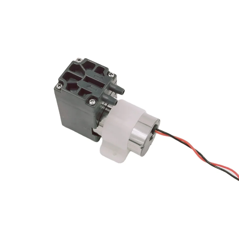 China Diaphragm Pump Low Pressure Electric Intermittent Working Soft Icecream Machine