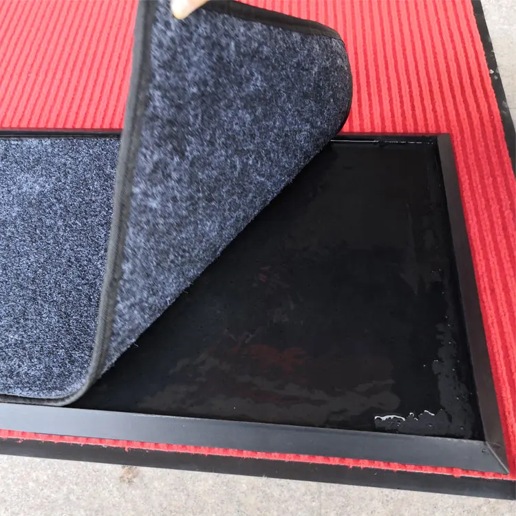 Footwear Shoe Sole Scraper Biosecurity Sanitizing Footbath Rubber