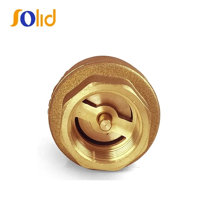 Non Return Brass Vertical Spring Check Valve