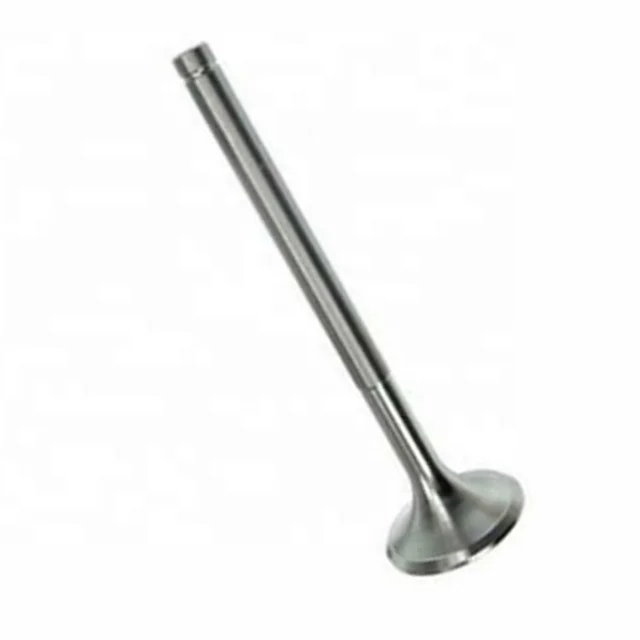 7910029730 Intake Valve.jpg