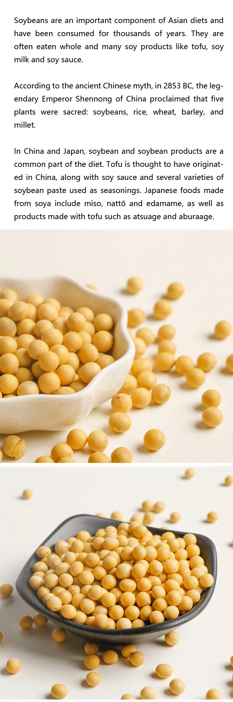 High Quality Non Gmo Soybean Soya Beans For Oil Plant