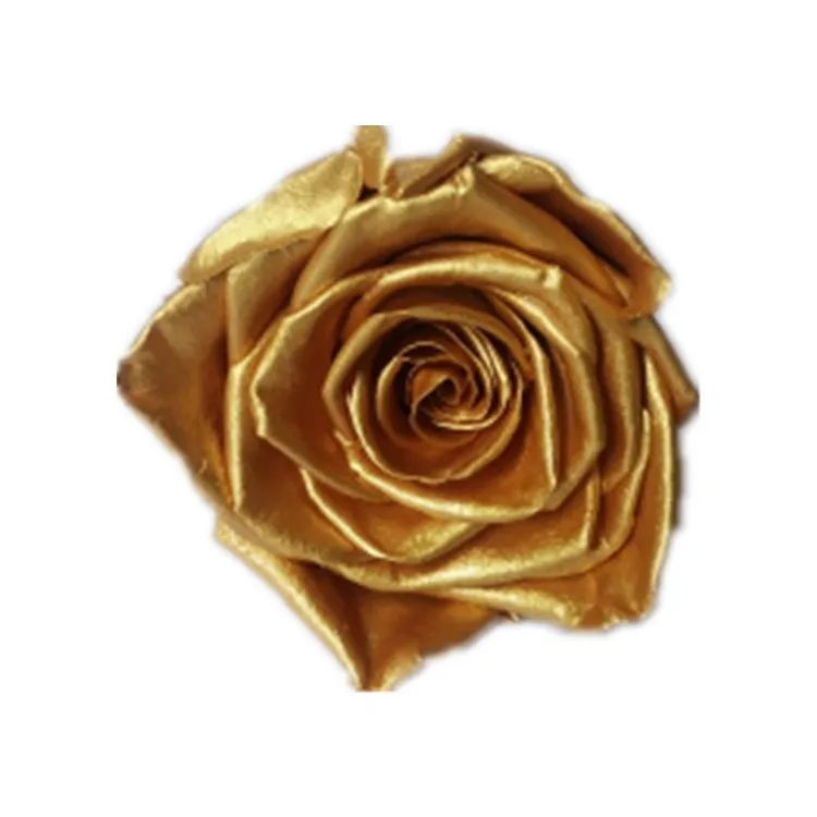 

5-6 cm Rose Head Flowers Real And Natural Preserved Gold Roses Head Gold Rose Eternal