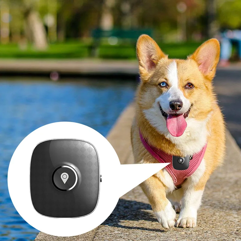 

Amazon smallest micro human pet animal dog cattle gps tracking device chip collar localizador gps dog collar tracker for pets