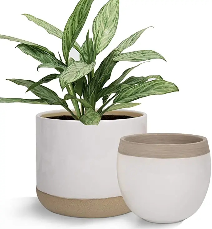 

6.5 + 4.9 Inch White Indoor Ceramic Flower Plant Pots with Beige and Cracked Detailing, Cmyk