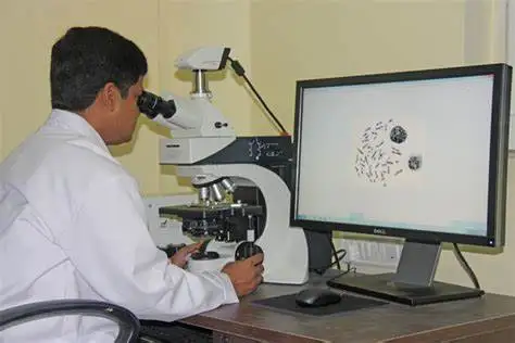 
SH Chromosome Auto Karyotyping Image System 
