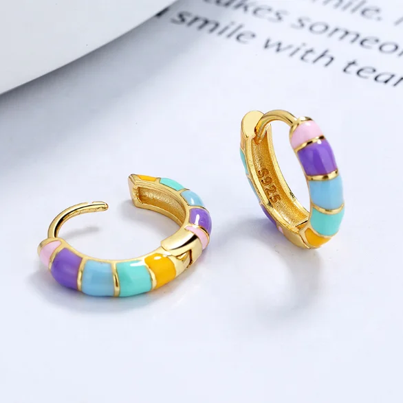 

Smart Rainbow Sliver jewelry for women 2021 Koran fashion trend style sliver hoop earrings, Nature