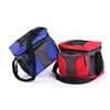 Good value for money lightweight 600d\/pvc+pe foam insulated lunch bag with CE certificate