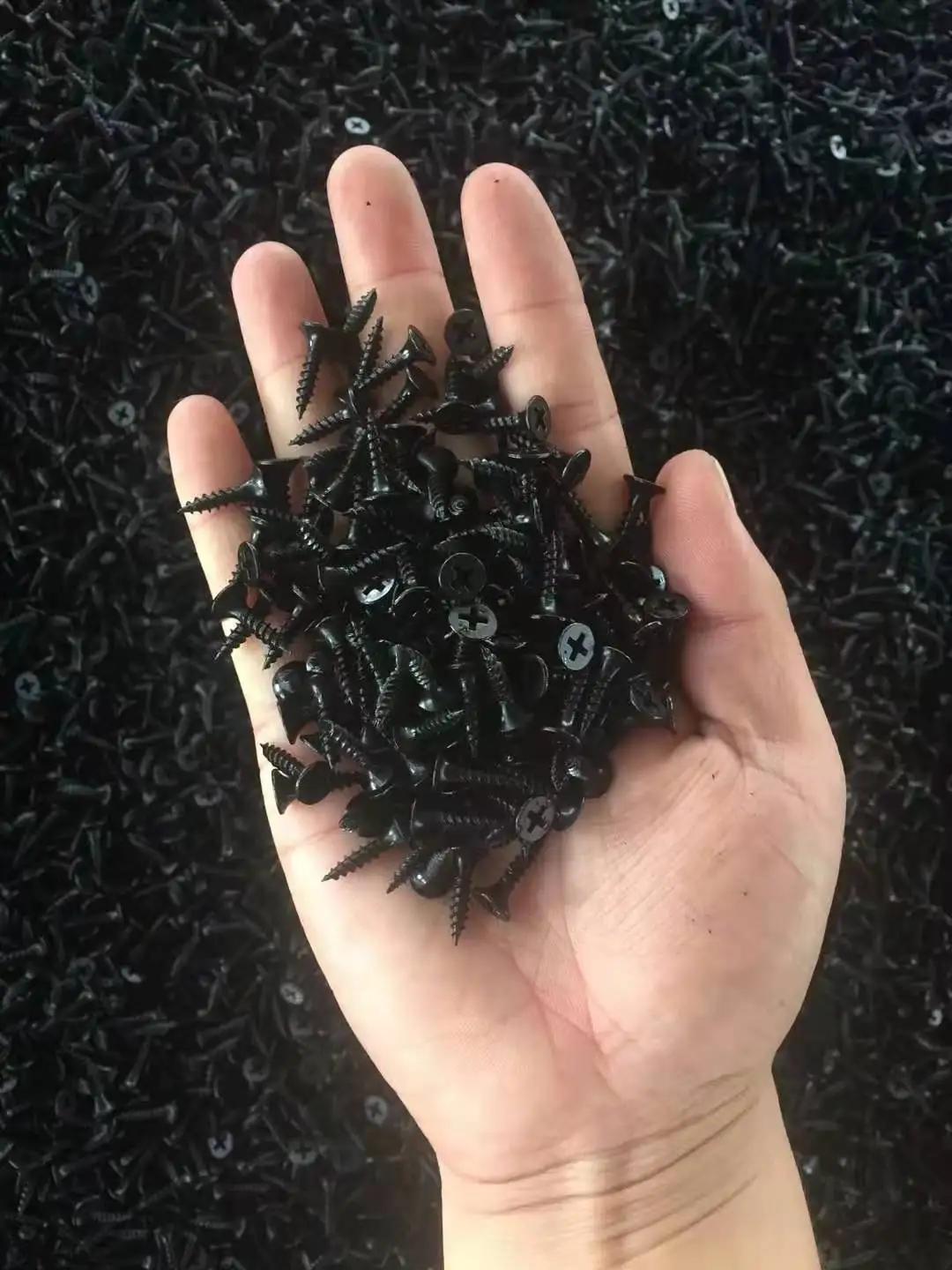 中国螺丝厂供应碳钢自攻螺丝