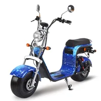 

1500W / 2000W Citycoco Electric Scooter with EEC/COC Approved On Road
