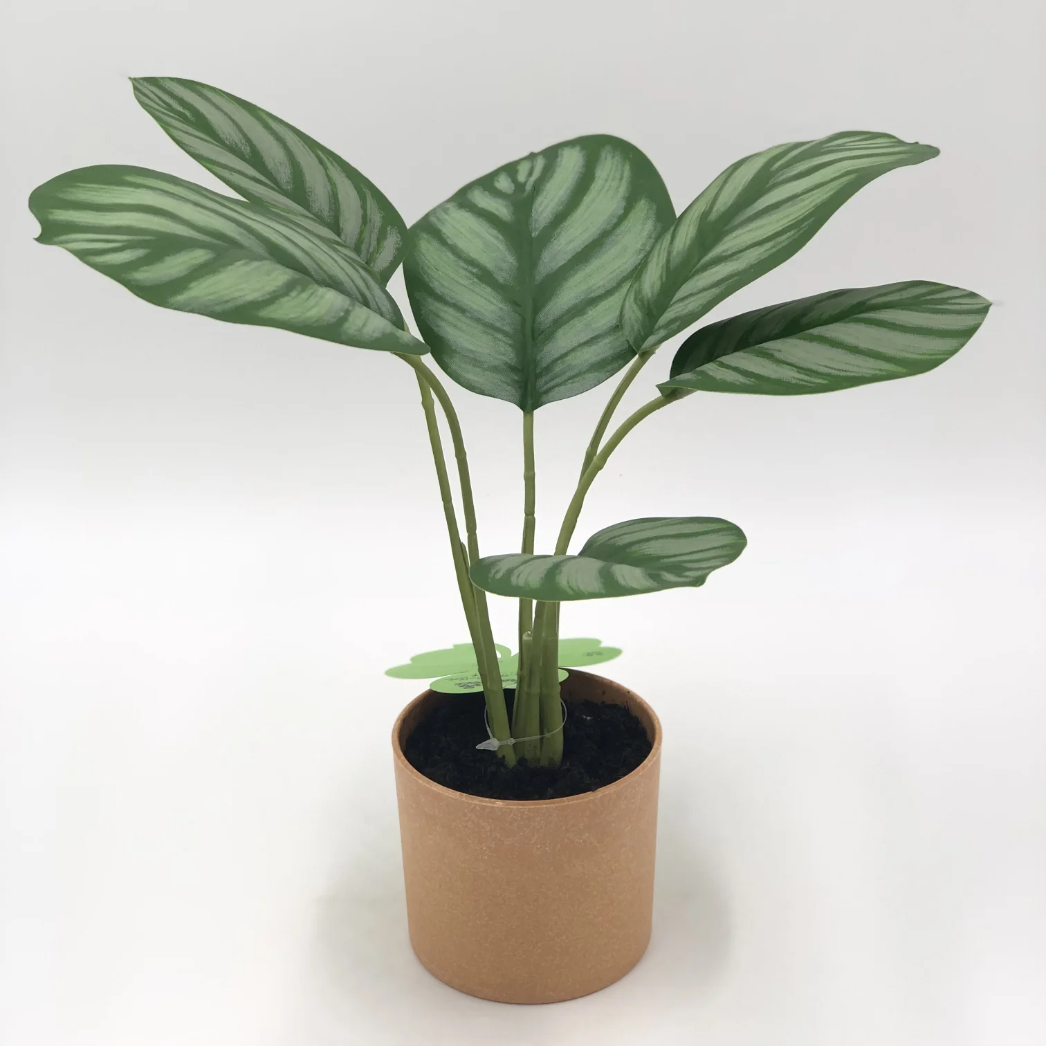 

Richicgarde Banana Leaf Palm Monstera Pampas Spring Greenery Artificial Plants With Ceramic Plastic Pot, Multiple colors