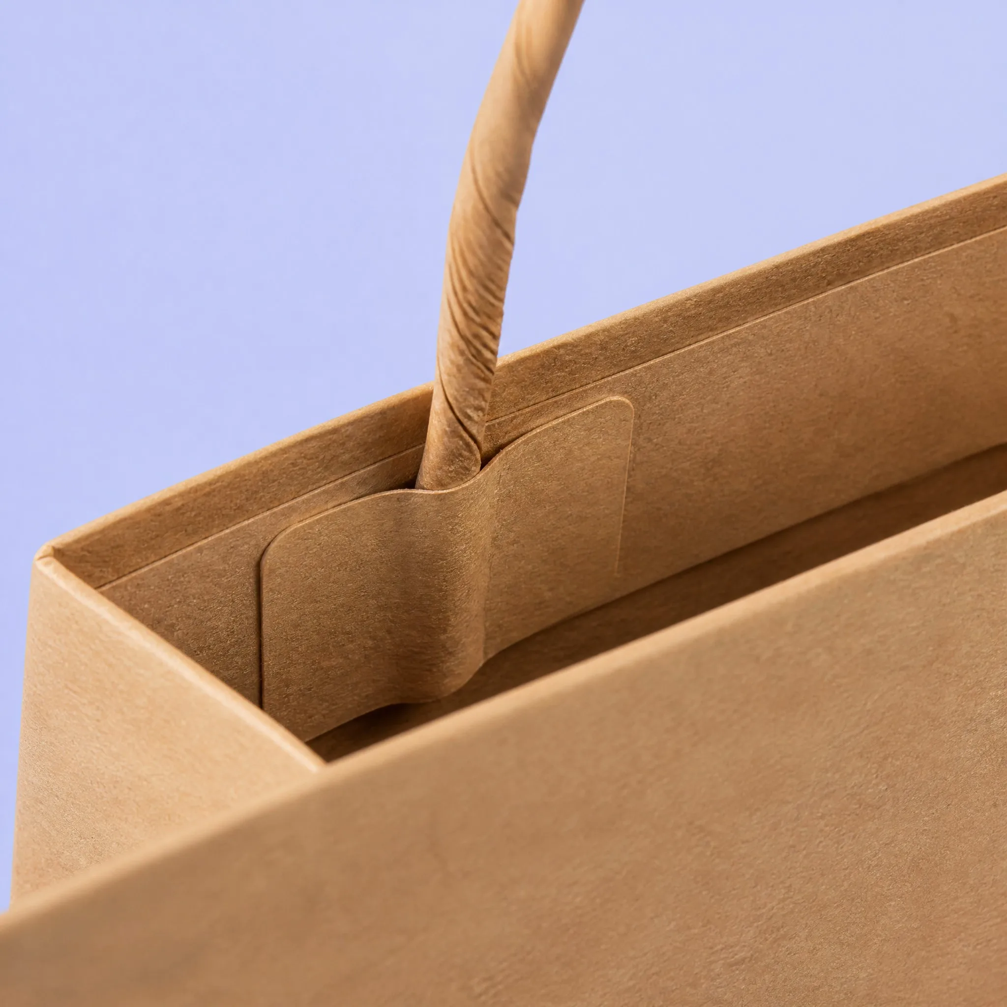 Embedded Kraft Handle Patch & Twisted Paper Cord Close-up