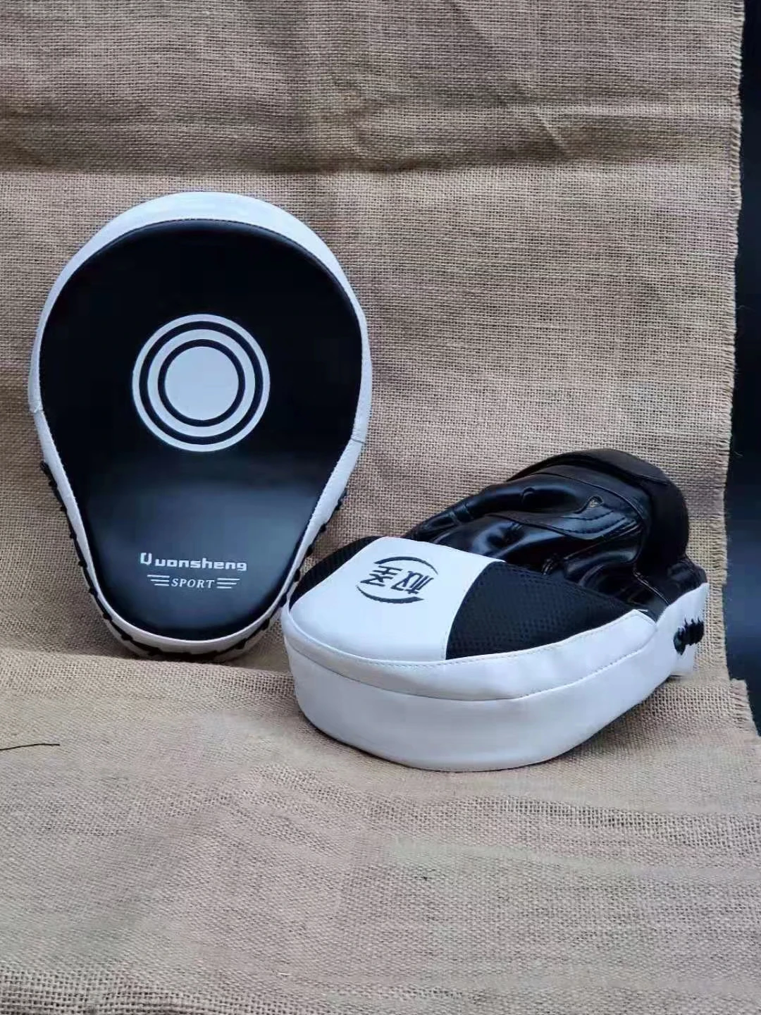 boxing focus pad2.png