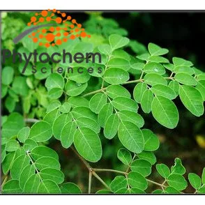 
herb medicine Super tea pure ancestral roots moringa powder 
