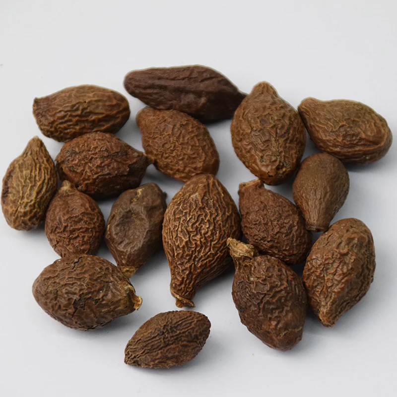 Chinese Herbs Sterculia Lychnophora Boat-fruited Scaphium Seed - 4uTea | 4uTea.com