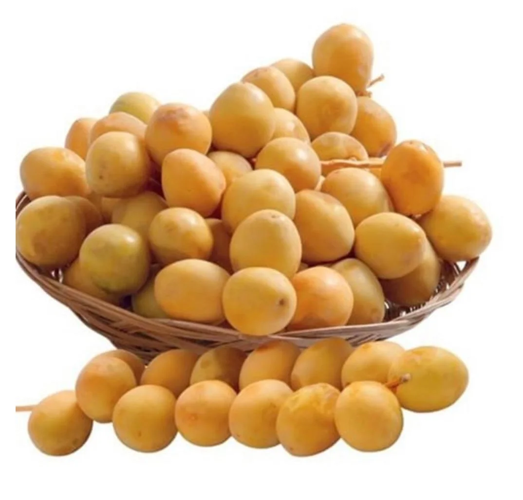 
Fresh Berhi / Birhi / Berhee Dates . Saudi Yellow Berhi Dates 