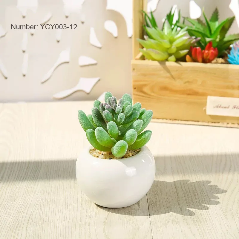 

Hot Sale Garden Decoration Artificial Succulents Frame Home Decoration Wall Hanging Artificial Plants Ceramic Pots For Indoor, Customizable