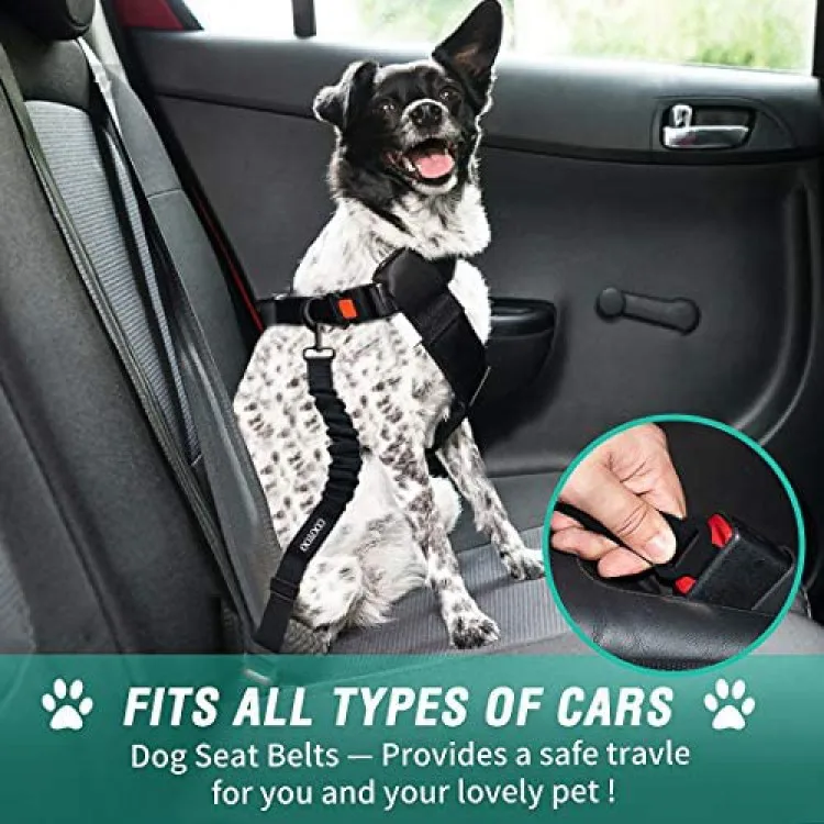 Adjustable Pet Safety Elastic Lead Harness 50-60cm 2Pack Dog Safety Belt Gray Belt for Dogs with Elastic Bungee Buffer Dog Seat Belt Tether Heavy Duty Pet Safety Belt Car Seat Belt for Cats 