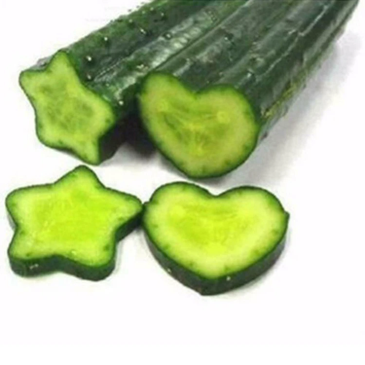 US 10Pcs Vegetable Shaping Mold Garden Star Heart Cucumber Growing Forming Tools 