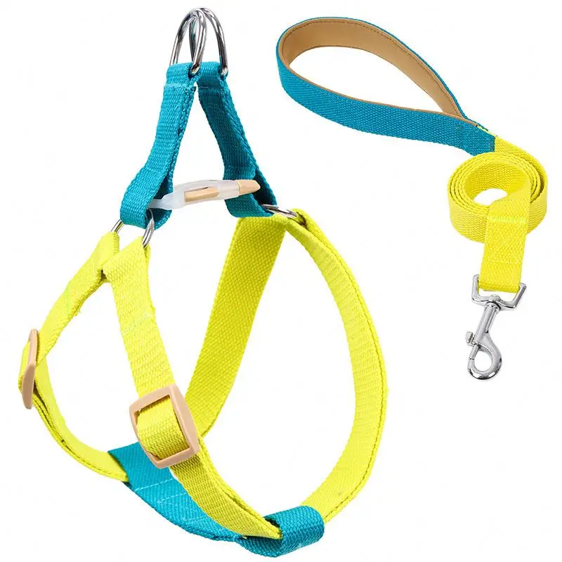 

Polyester buckle dog collar adjustable soft cone pet recovery pet collar and leash harness set, Customized color