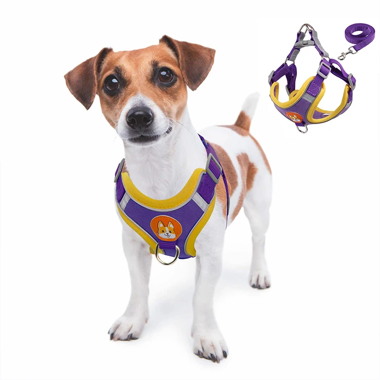 

Designer Selling Best Dog Leash And Harness Dog Collar Leash Set With Reasonable Price, Green/ brown/ red/ purple/orange/light blue